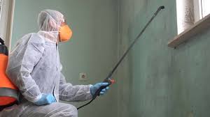 Why You Should Choose Our Mold Remediation Services in Pickens, SC